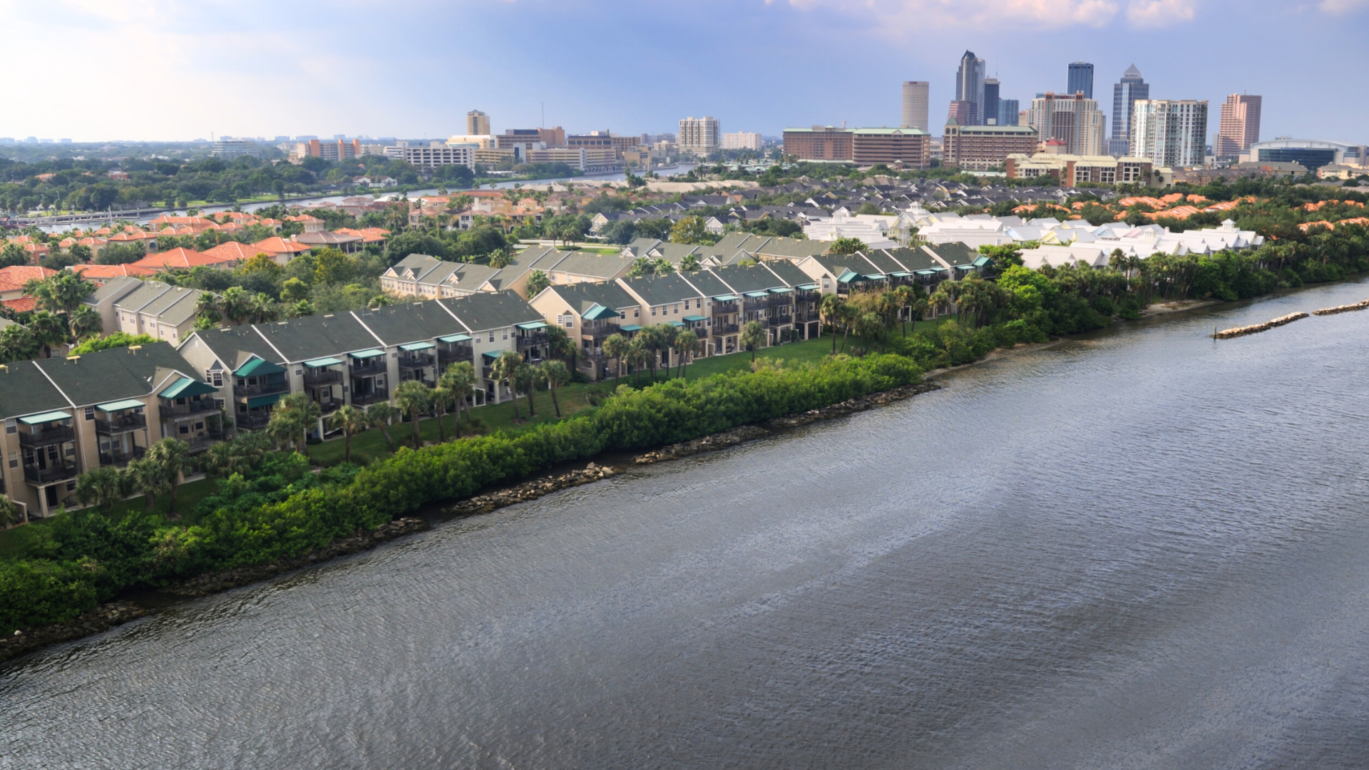 Top 5 Reasons to Hire a Local Cleaning Company in Tampa Bay